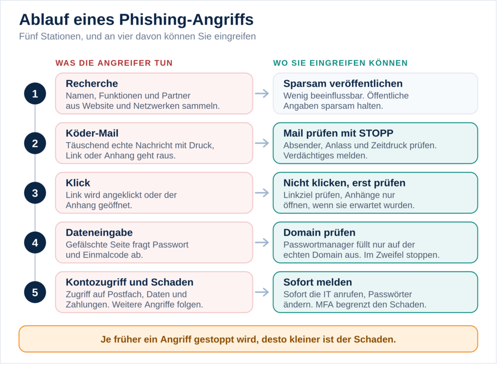 Ablauf eines Phishing-Angriffs in fünf Stationen von der Recherche bis zum Kontozugriff. Zu jeder Station zeigt die Grafik, wie Mitarbeiter eingreifen können: Mail prüfen, nicht klicken, Domain prüfen und sofort melden.